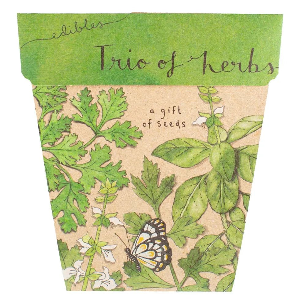 Sow n Sow | Gift of Seeds - A Trio Of Herbs - Sow n Sow - Seeds - Jade and May