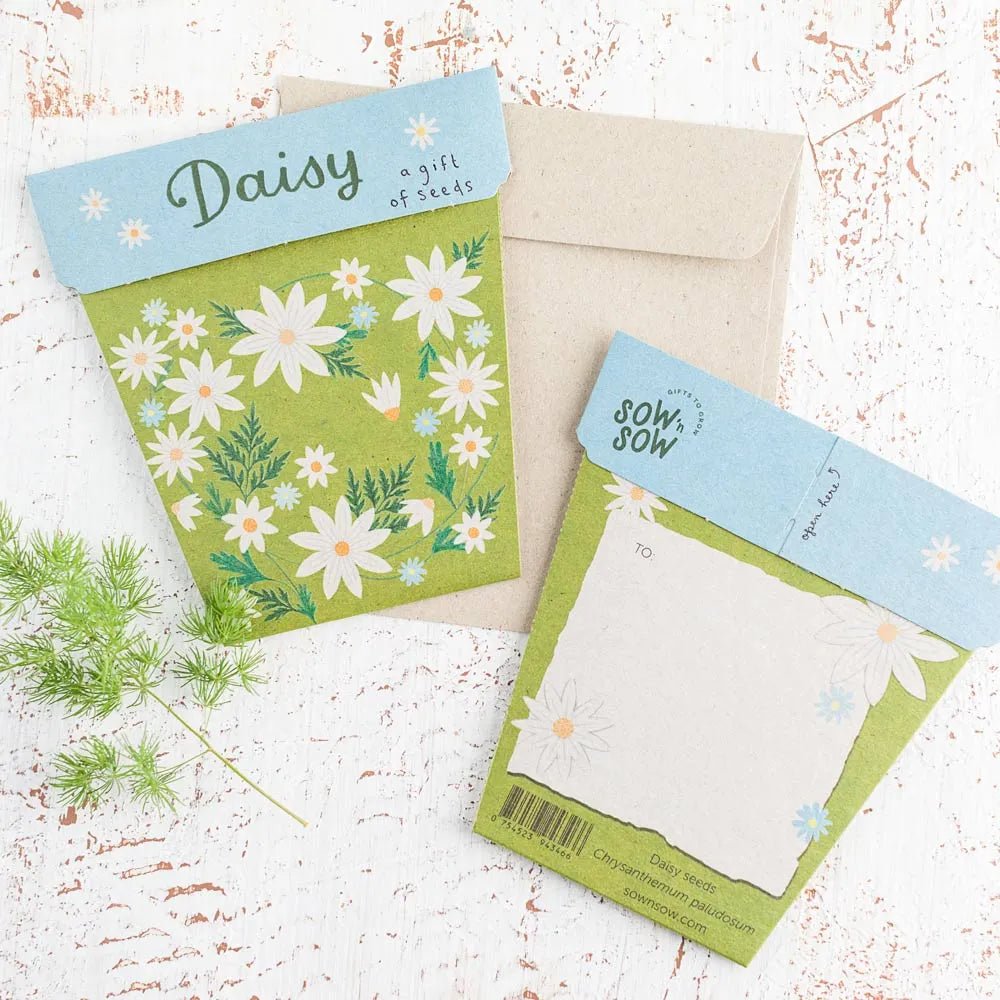 Sow n Sow | Gift of Seeds - Daisy - Sow n Sow - Seeds - Jade and May