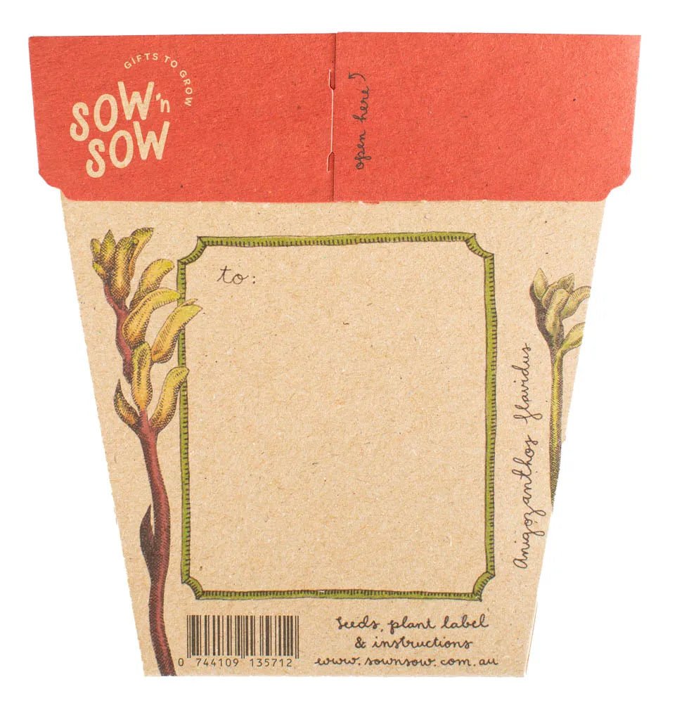 Sow n Sow Gift of Seeds - Kangaroo Paw - Sow n Sow - Seeds - Jade and May