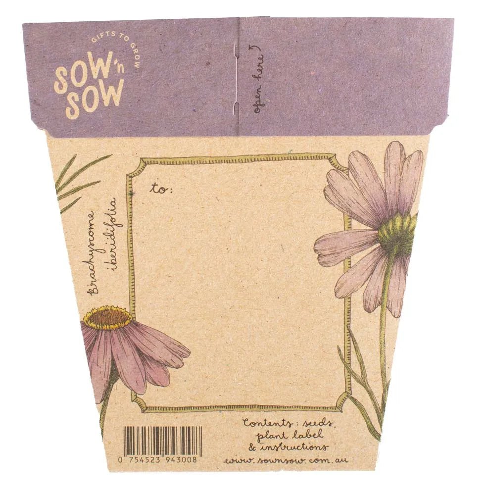 Sow n Sow Gift of Seeds - Swan River Daisy - Sow n Sow - Seeds - Jade and May