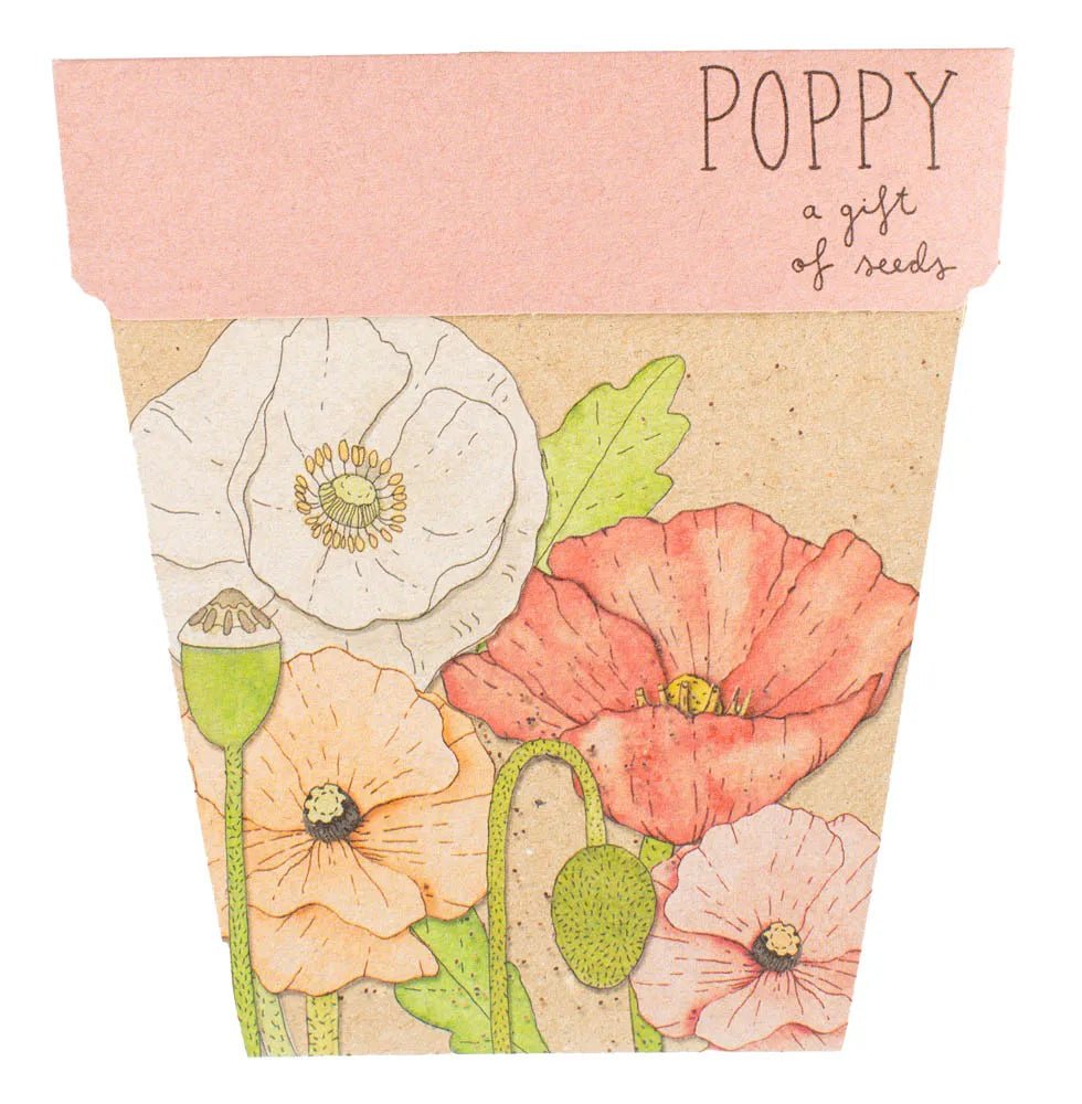 Sow n Sow | Poppy Gift of Seeds - Sow n Sow - Seeds - Jade and May